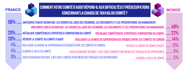 enquete comiteaudit4
